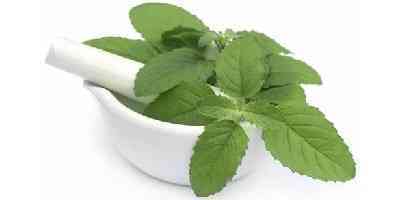 best anti inflammatory herbs