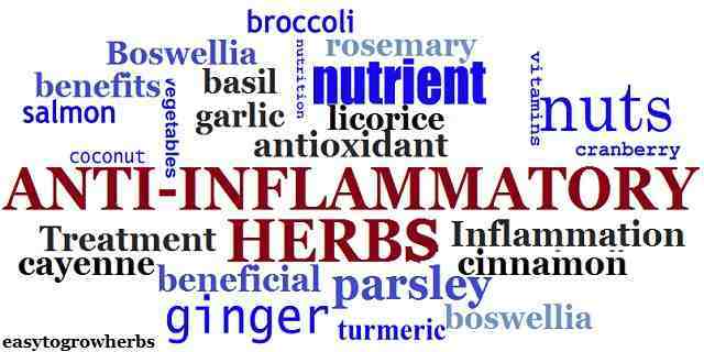 top anti inflammatory herbs